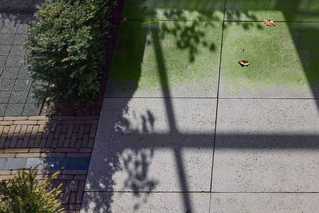 Groene aanslagreiniger SwiftClean